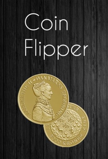 COIN FLIPPER TOSS FREE 2014截图1