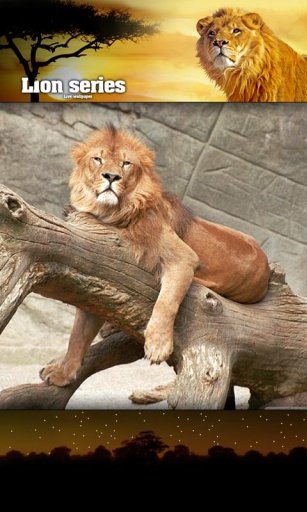 Lion Cannibal Live Wallpaper截图4