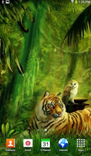 Jungle Tiger Live Wallpaper截图3