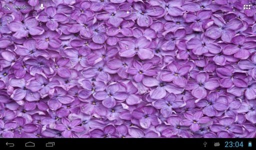 在紫丁香雨滴截图3