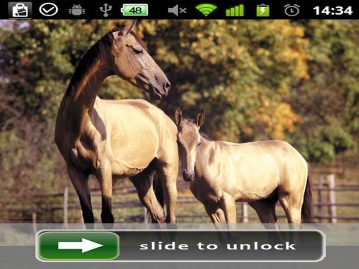 Horses Lock Screen photo截图4