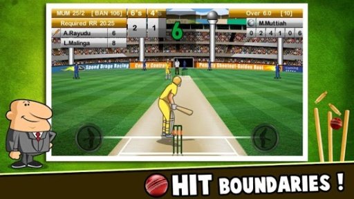 Cricket Premier League截图3