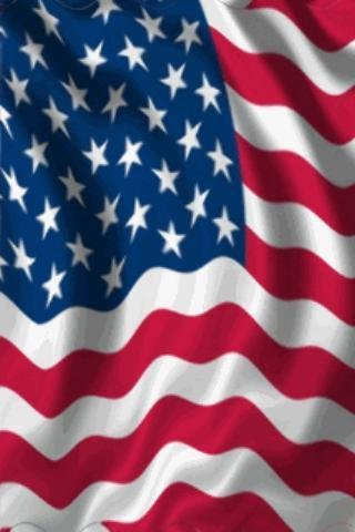 American Flag Live Wallpaper截图2