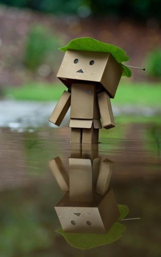 Danbo Live Wallpaper截图4