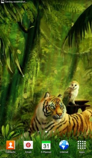 Jungle Tiger Live Wallpaper截图4