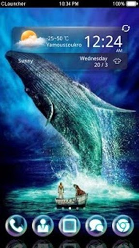 Life of Pi CLauncher Theme截图5