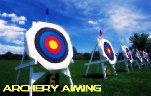 Archery Aiming截图3