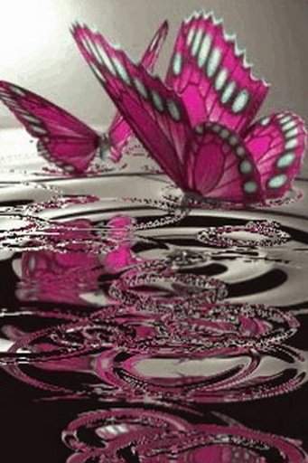 Butterflies &amp; water drops FREE截图1