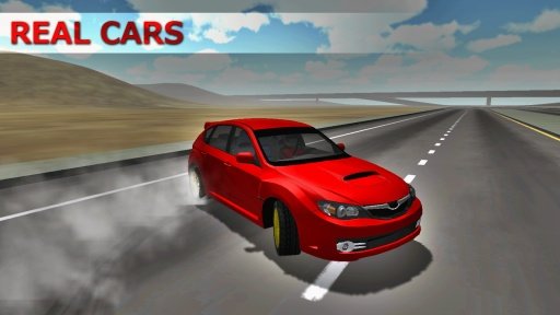 Rally Car Simulator截图2