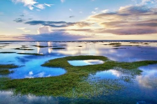 Landscape Wallpaper截图9