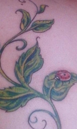 Tattoo Ladybird Theme截图2