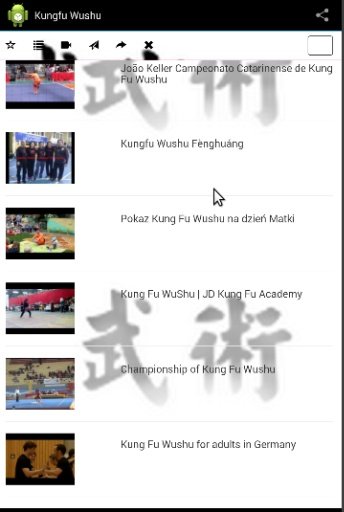 Kungfu Wushu截图1