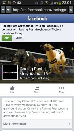 Greyhound Racing News UK截图1