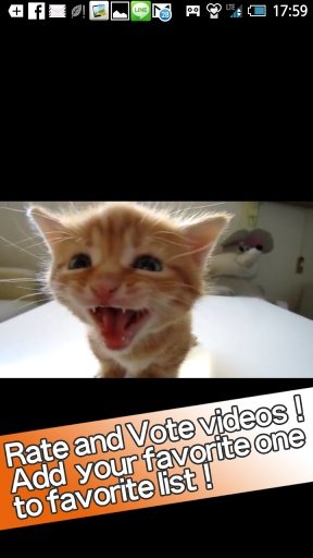 Cat Video Online截图2