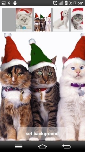 Christmas Cat Live Wallpapers截图2