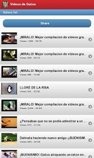 Videos de Gatos截图1