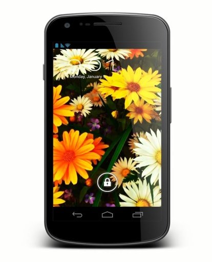 Wildflowers Live Wallpaper截图1