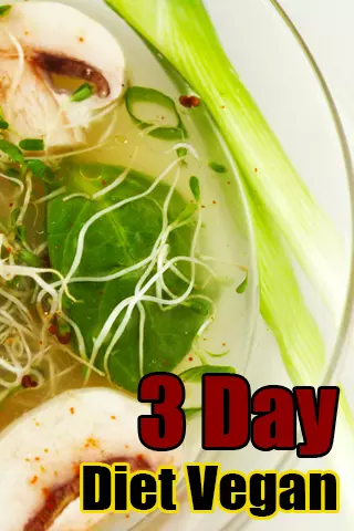 3 Day Diet Vegan截图1