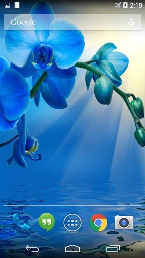 Blue Orchid Live Wallpaper截图4