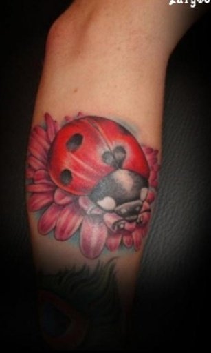 Tattoo Ladybird Theme截图1