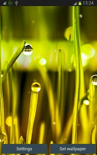 Rain n Grass Wallpaper App截图1