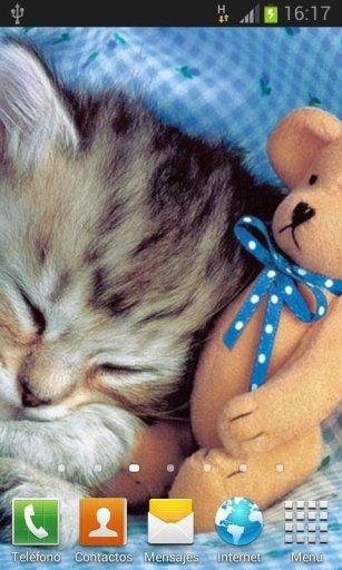 Kitties Jigsaw Wallpaper Game截图5