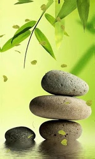 Magic Leaf Live Wallpaper截图7