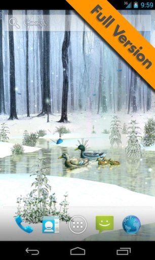 Ducks 3D Live Wallpaper FREE截图6