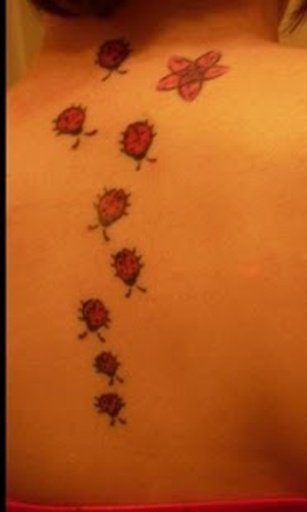 Tattoo Ladybird Theme截图4