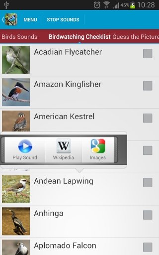 South American Birds Sounds截图3