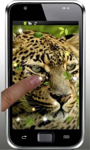 Sounds Jaguar live wallpaper截图2