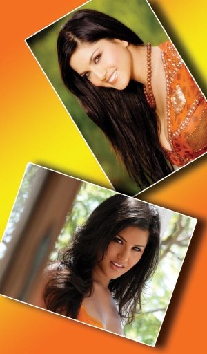 Sunny Leone HD Wallpaper截图5