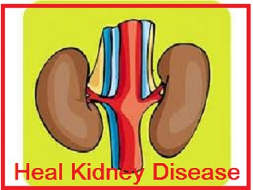 Improve Your Kidney Function ?截图1