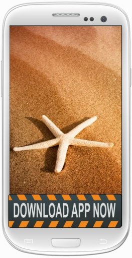 Starfish Wallpapers截图1