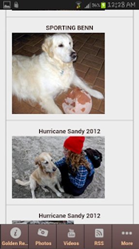 Golden Retriever NEW截图2