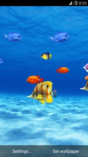 Fish Aquarium LWP截图4