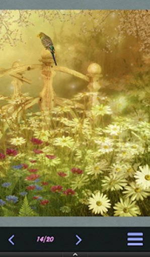 Hidden Object - Spring Garden截图1