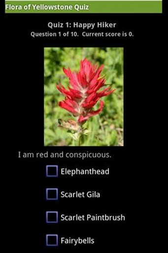 Flora of Yellowstone Quiz截图5