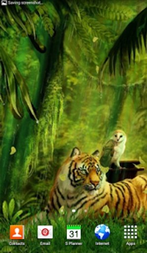 Jungle Tiger Live Wallpaper截图7