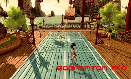 Badminton Pro截图1