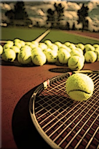 Flick Crazy Tennis截图5