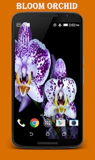 Orchid Video Live Wallpaper截图2