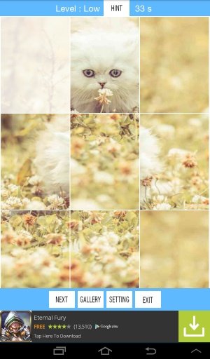 Cute Kitten Puzzle Challenge截图3