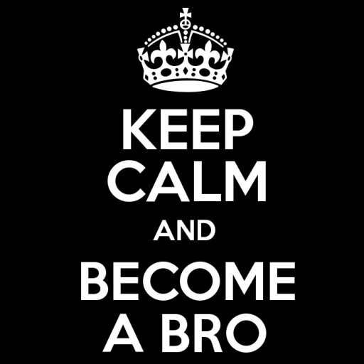 Become a BRO!截图2