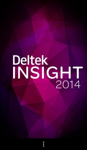 Deltek Insight 2014截图1