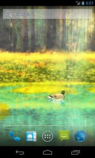 Ducks 3D Live Wallpaper FREE截图3