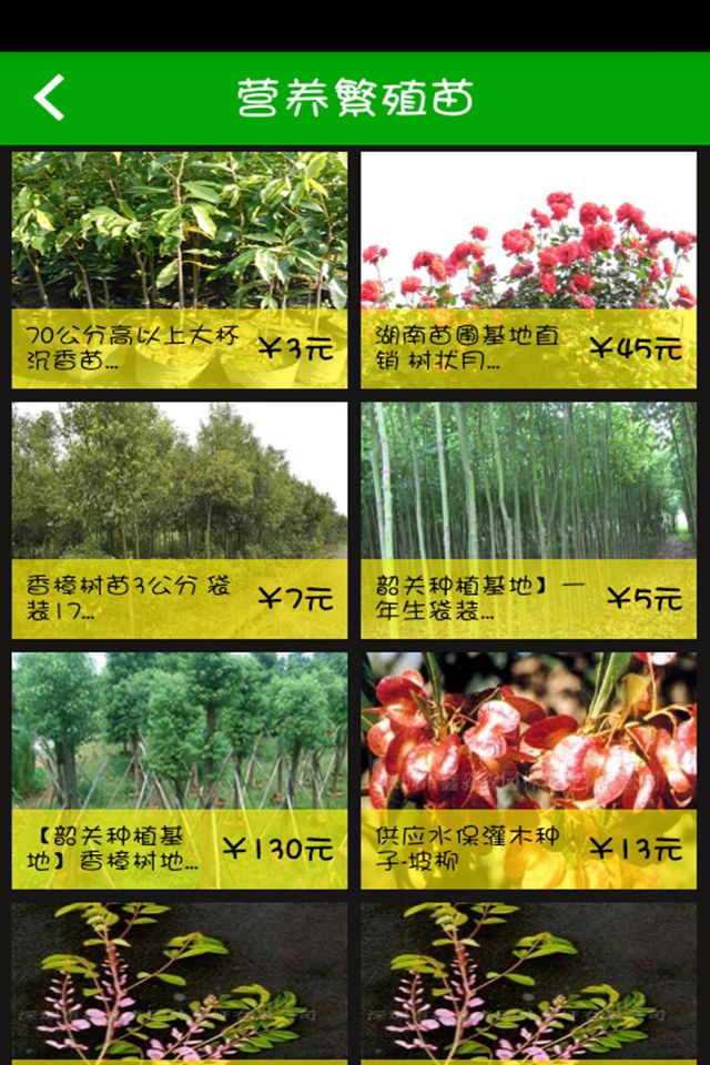 清远苗木截图2