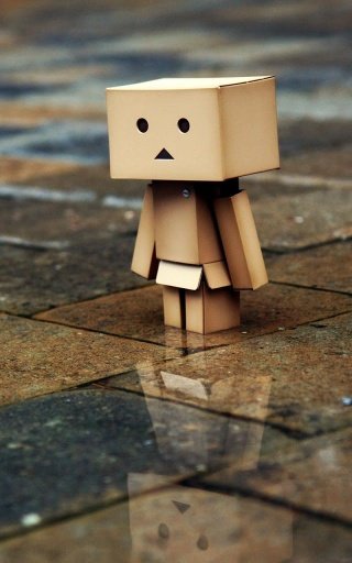 Danbo Live Wallpaper截图2