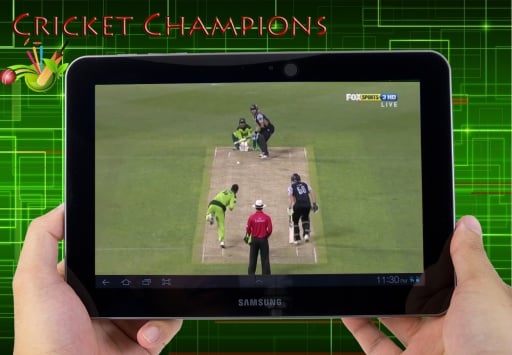 Cricket Champions Cricket Game截图2