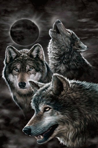 Howling Wolves Live Wallpaper截图2